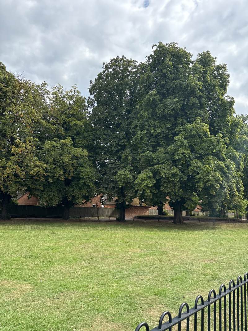 walking near me in Leavesden Country Park (North Side) in autumn