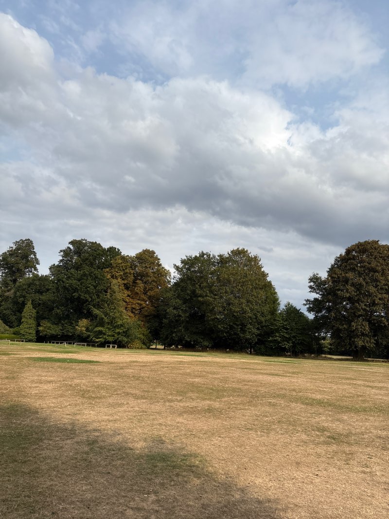 walking near me in Woodside Playing Fields in autumn