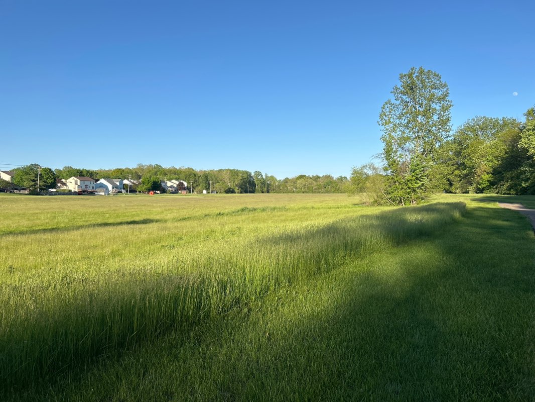 walking near me in Preston Trails Park in spring