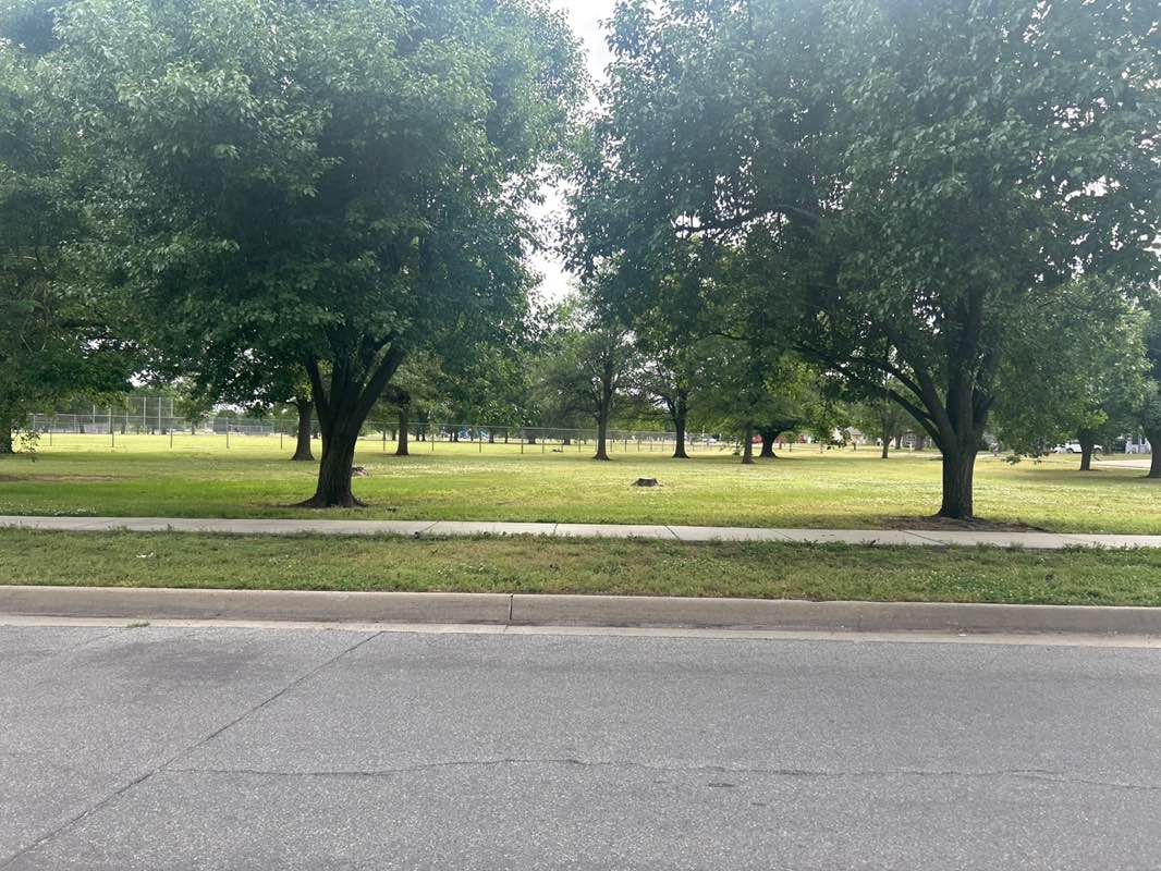 walking near me in Brown Thrush Park in summer
