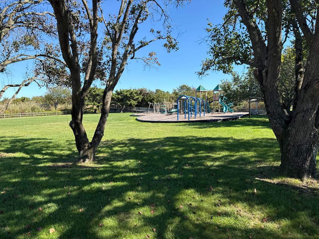 walking near me in Armacost Park in autumn