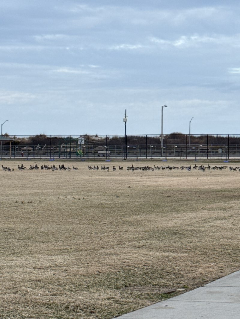walking near me in Stone Harbor Recreation - 82nd Street Complex in spring