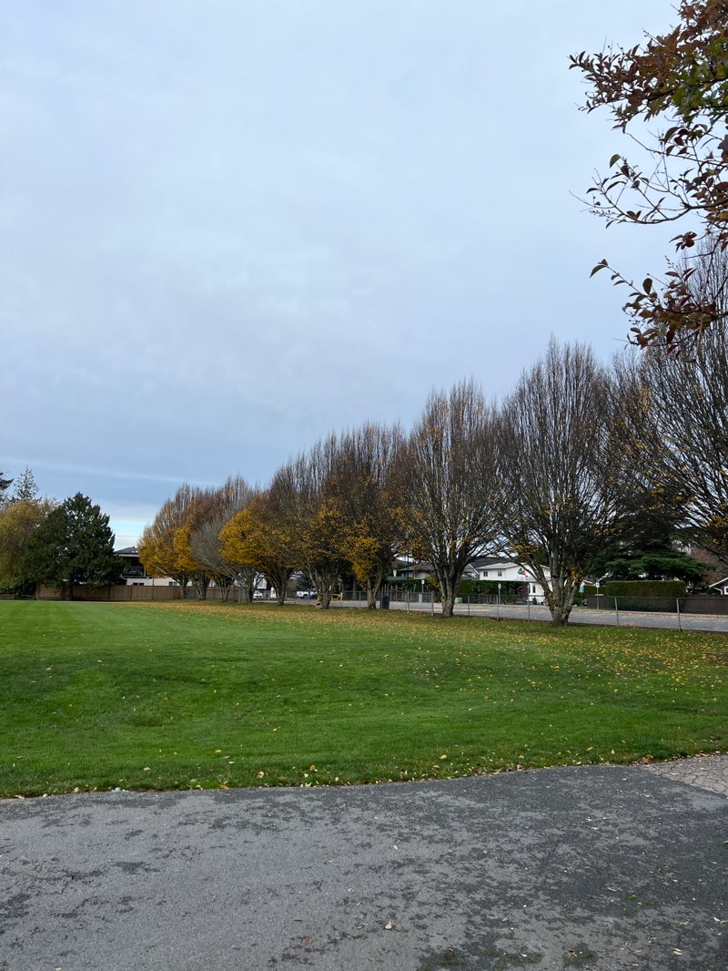 walking near me in Hawthorne Park in autumn