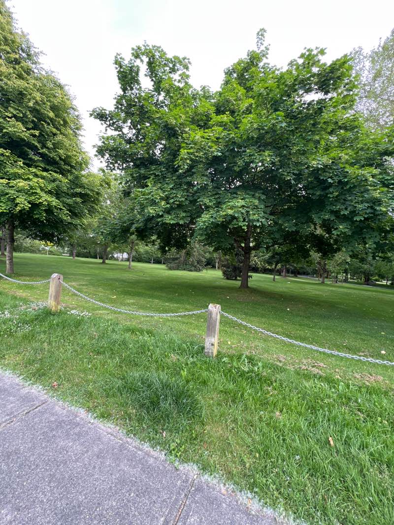 walking near me in Ernie Burnett Park in spring