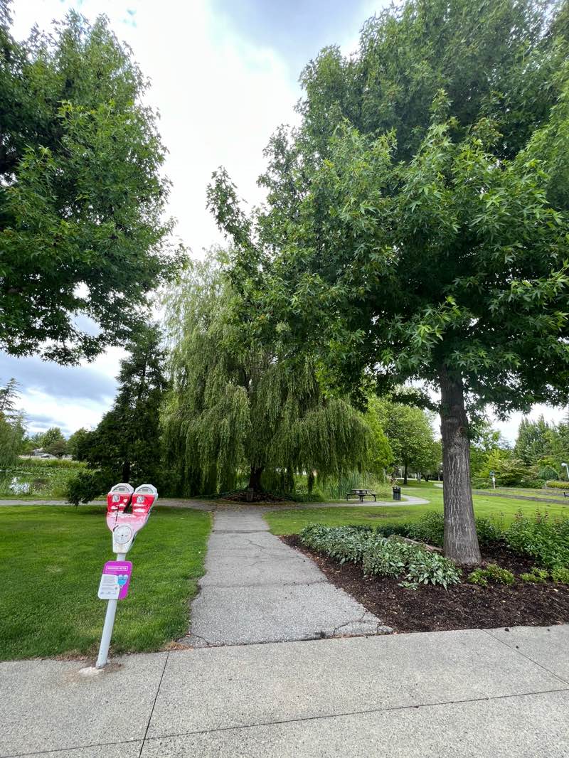 walking near me in Rotary Park in summer