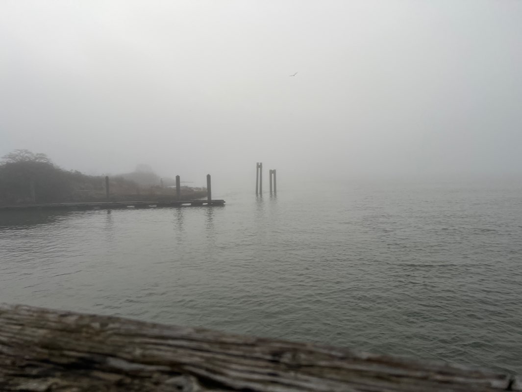 walking near me in Wellington Point Park in winter