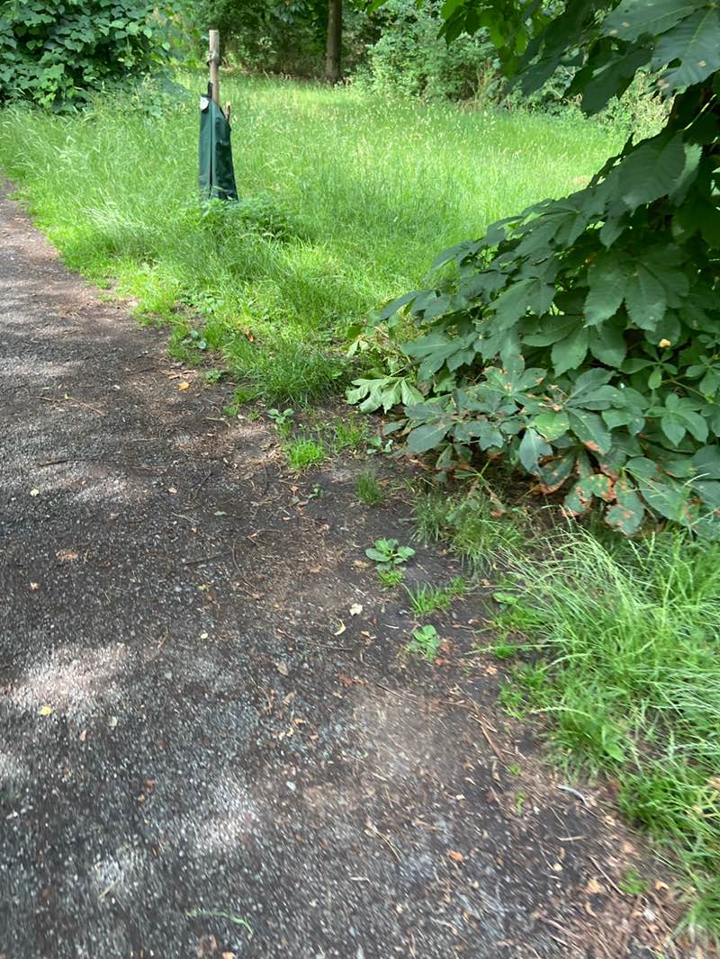 walking near me in The Firs in summer
