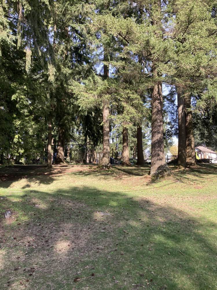 walking near me in Good Neighbour Park in spring