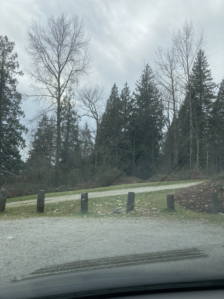walking near me in Hickey Street Reservoir Park in winter
