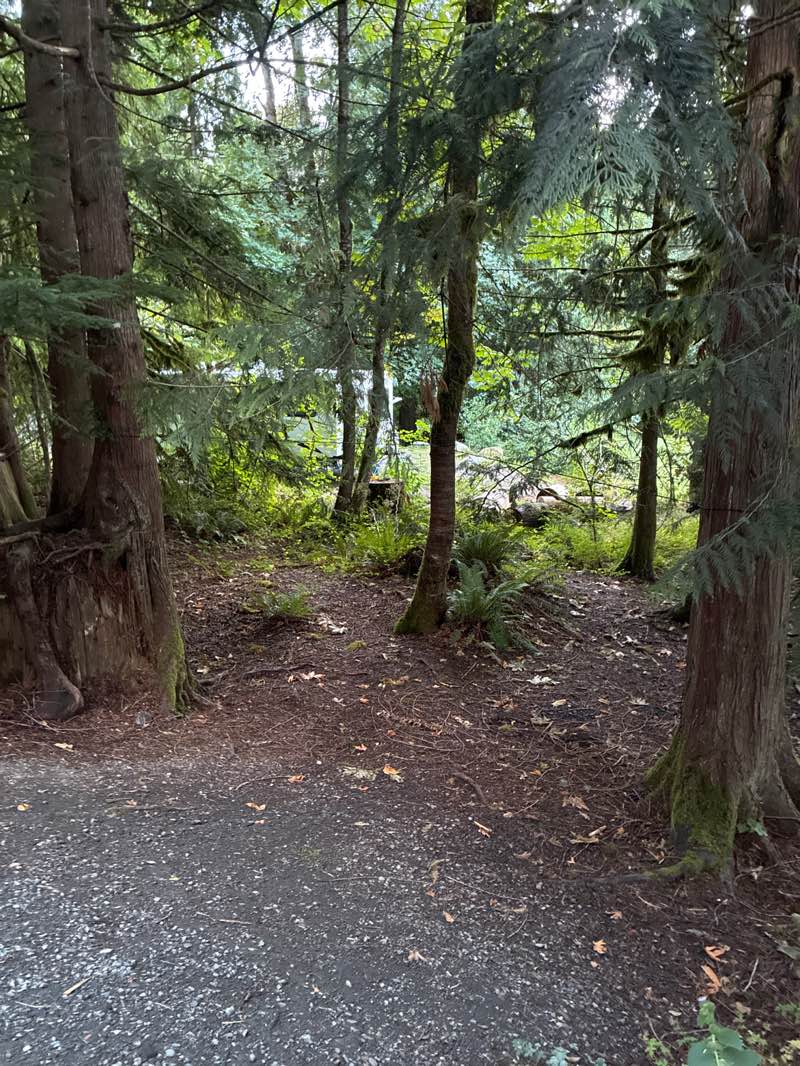 walking near me in Cultus Lake Provincial Park in summer