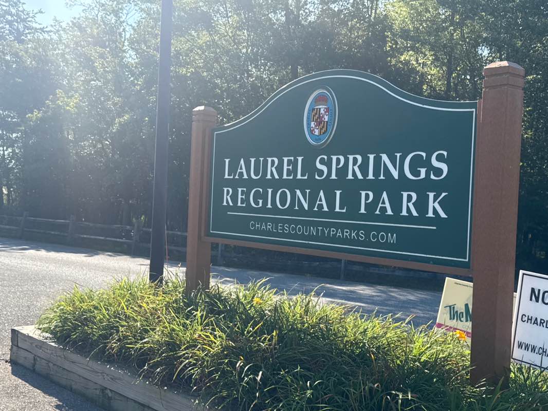 walking near me in Laurel Springs Park in autumn
