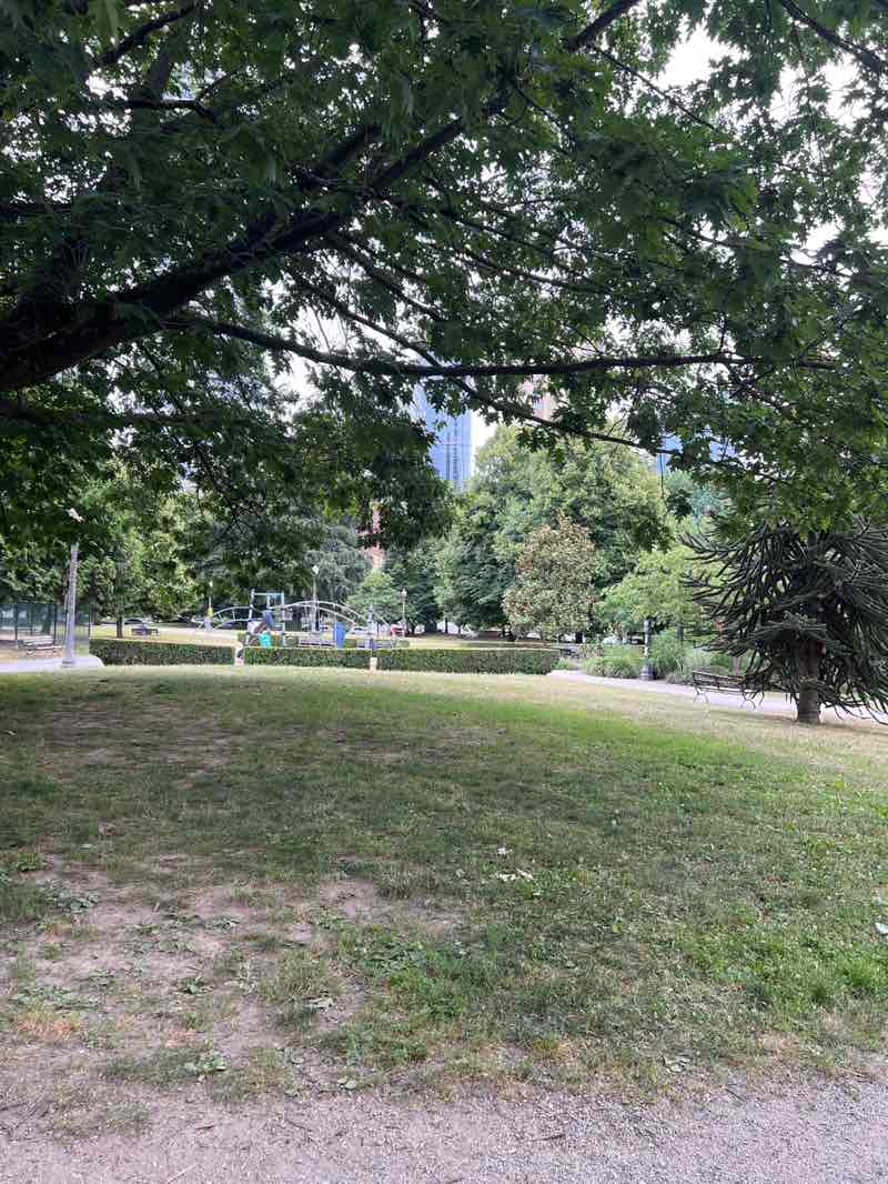 walking near me in Nelson Park in summer