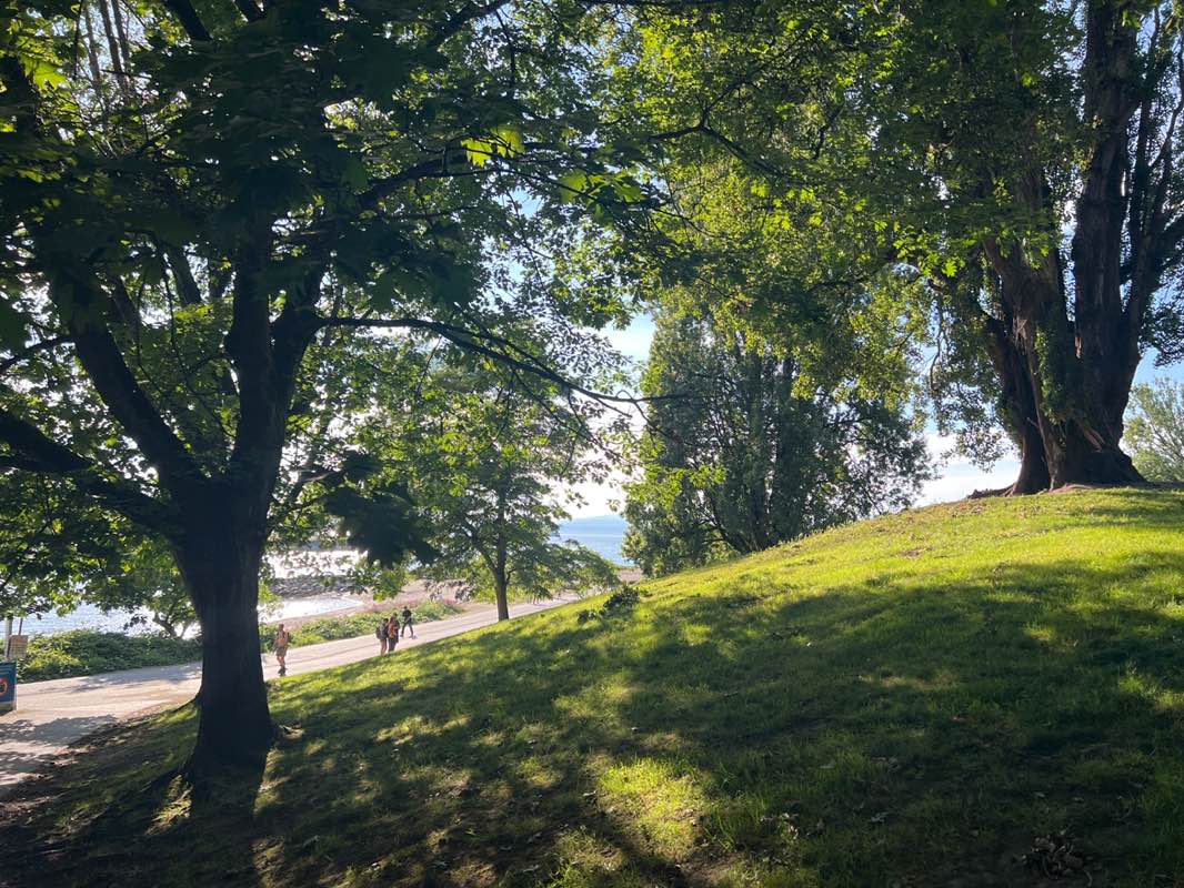 walking near me in Sunset Beach Park in summer