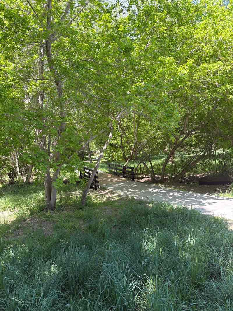 walking near me in Woodstock Meadows Park in spring