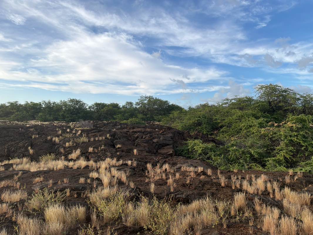 walking near me in Kalahuipua'a Historic Park in spring