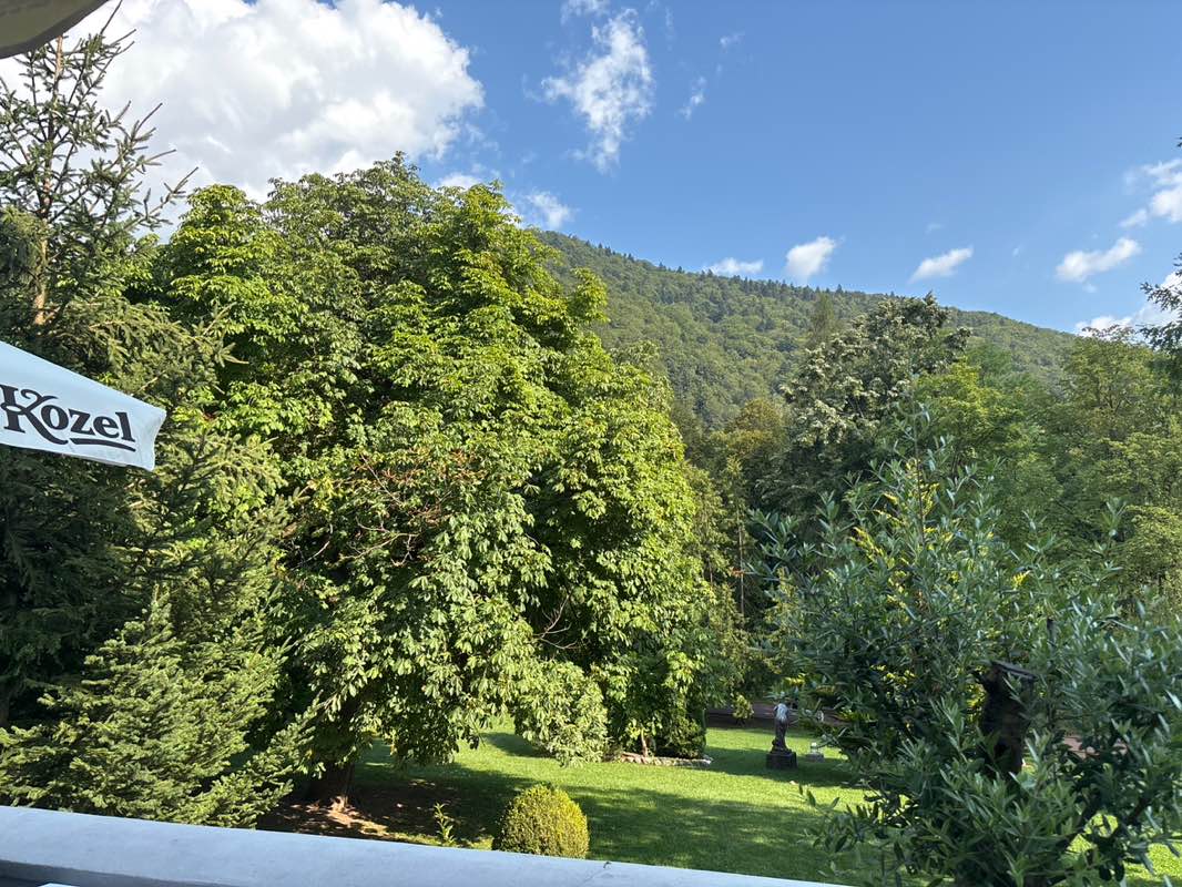 walking near me in Parcul Dimitrie Ghica in autumn