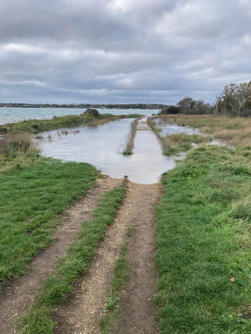 walking near me in Harbour View Open Space in autumn