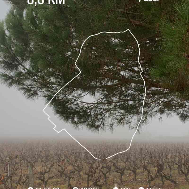 Philippe Meynard post 1