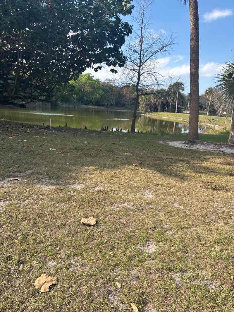 walking near me in John D Easterlin Park in winter