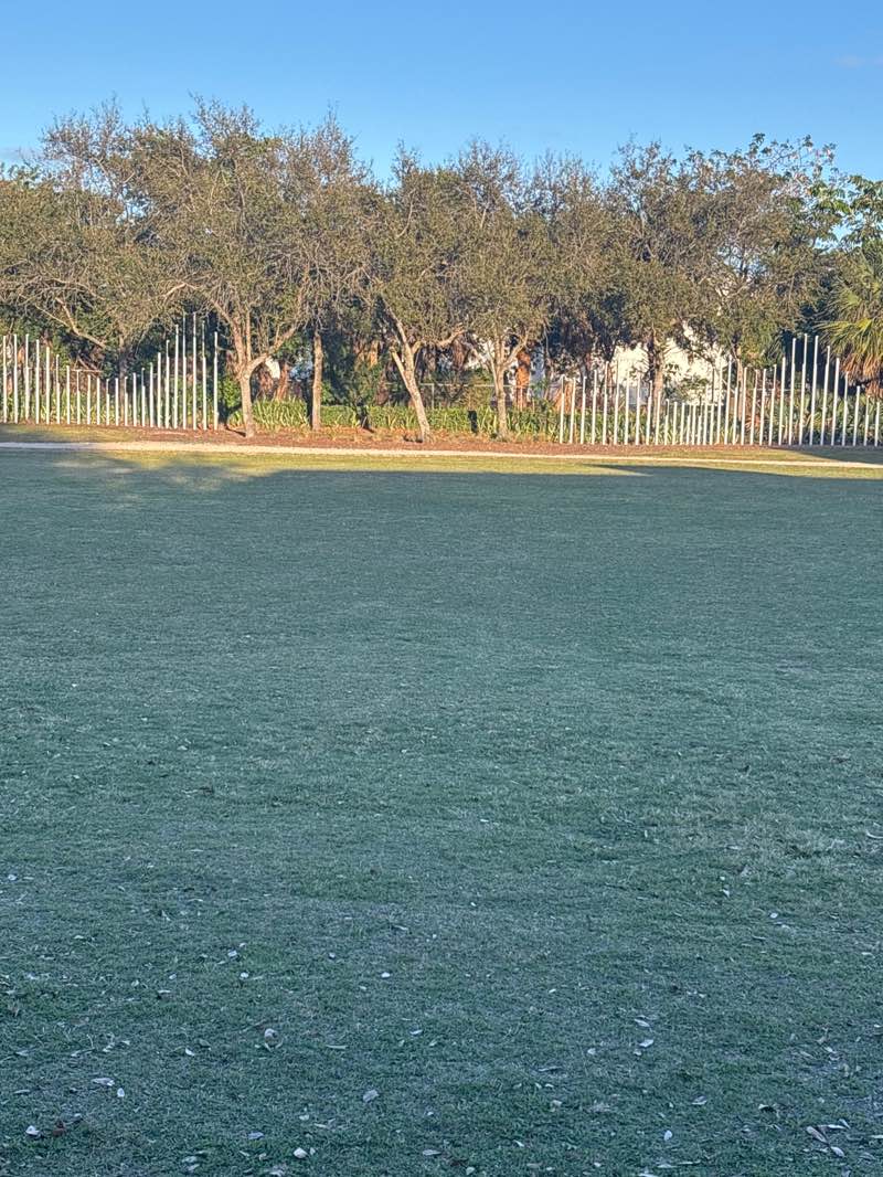 walking near me in Jaco Pastorius Park in winter