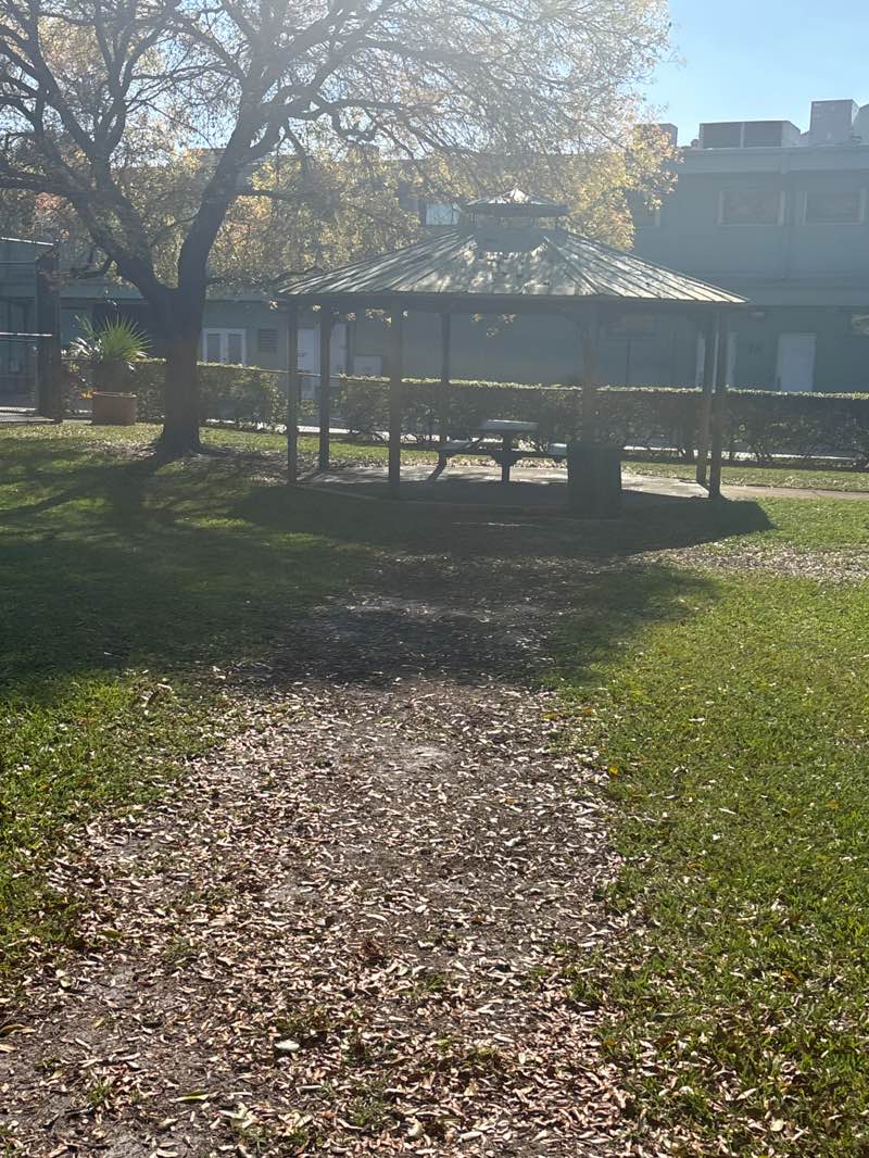 walking near me in Greenleaf Park in spring