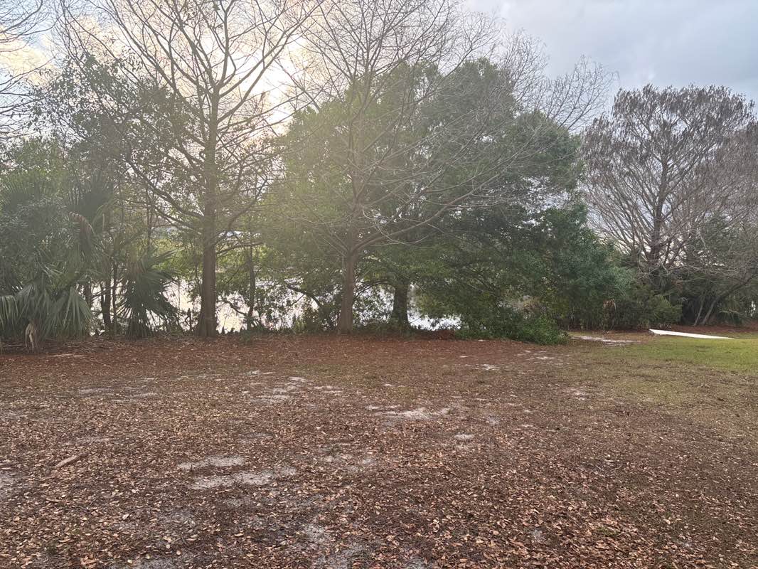 walking near me in Rotary Park in spring