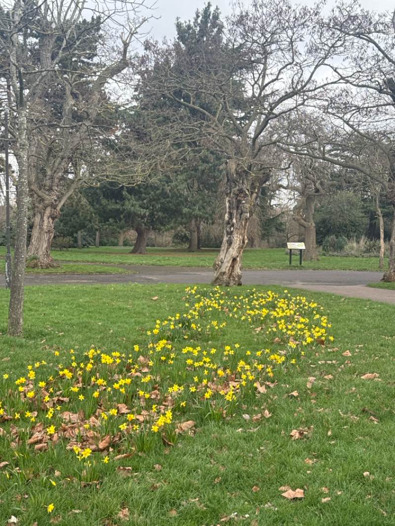 walking near me in Loxford Park in winter