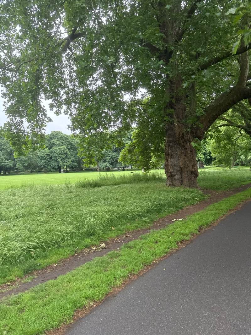 walking near me in Jubilee Gardens in summer