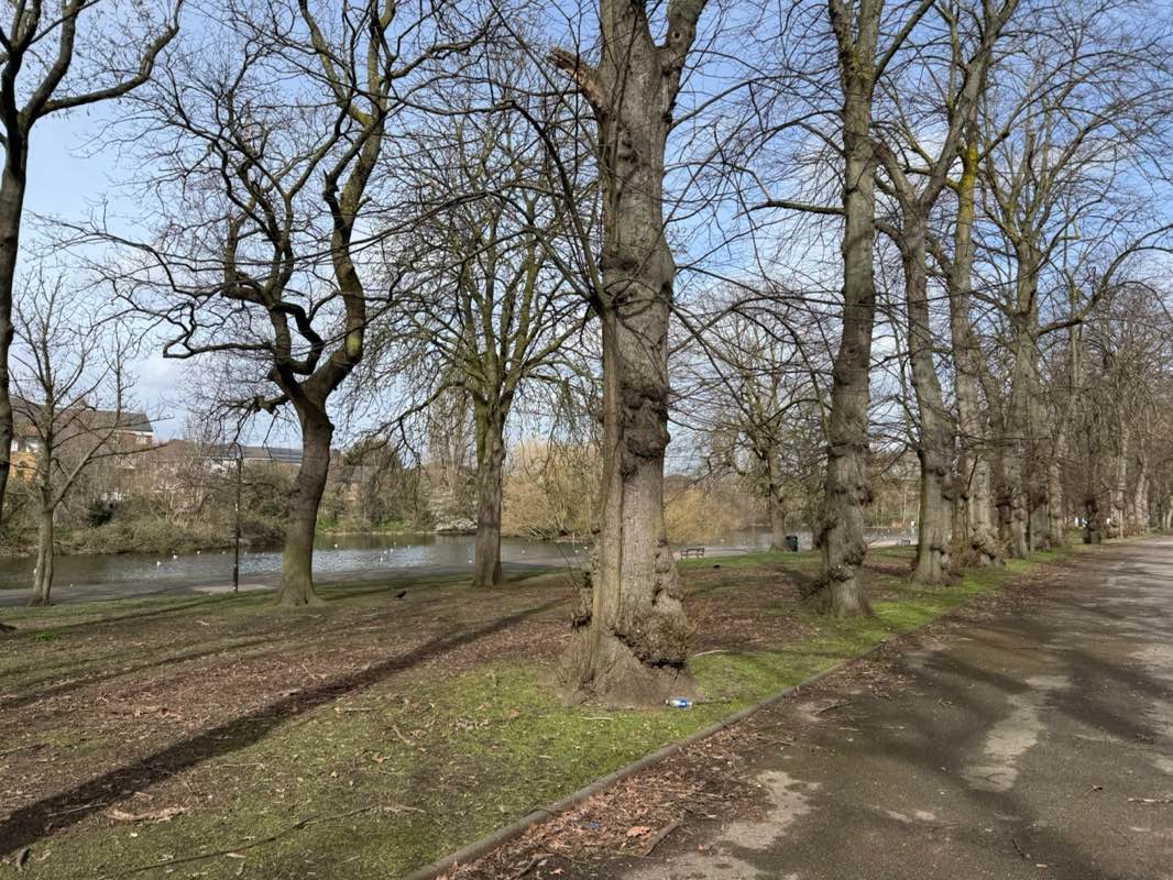 walking near me in Barking Park in spring
