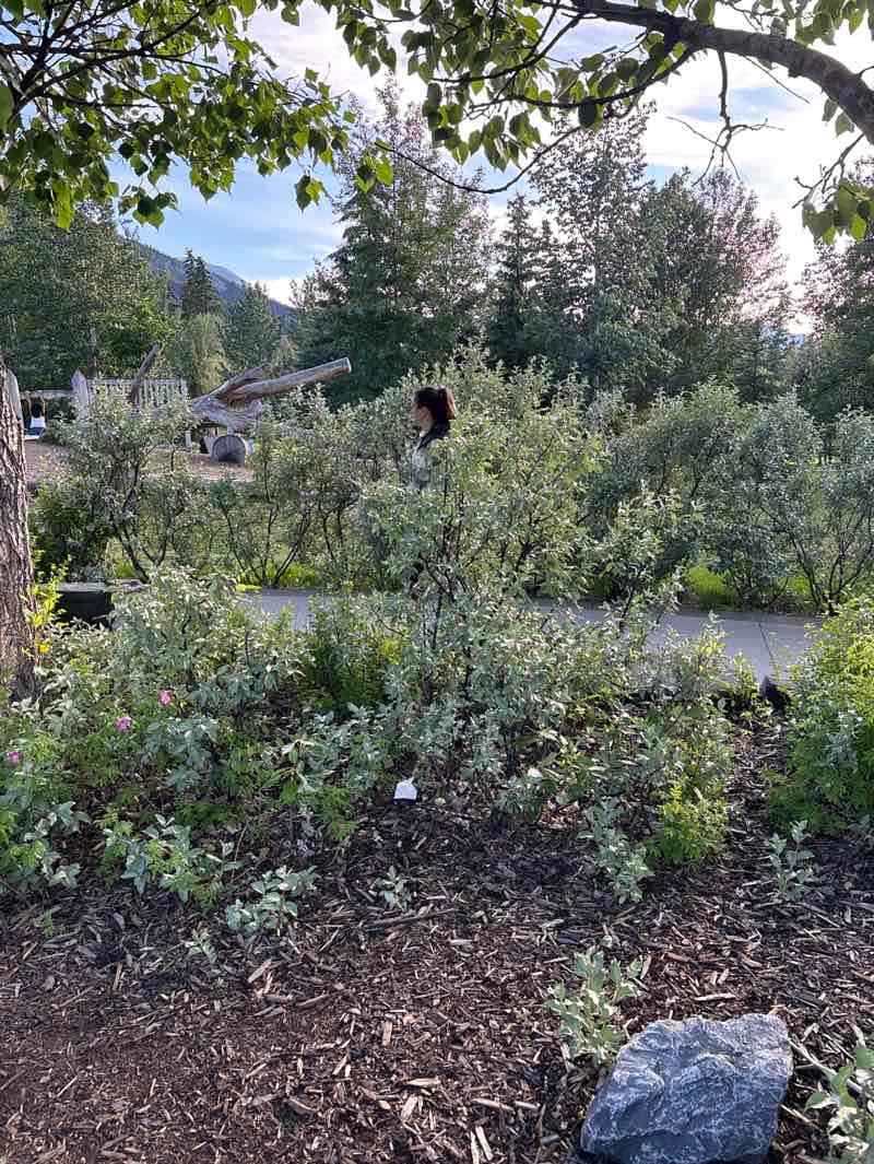 walking near me in Central Park in summer