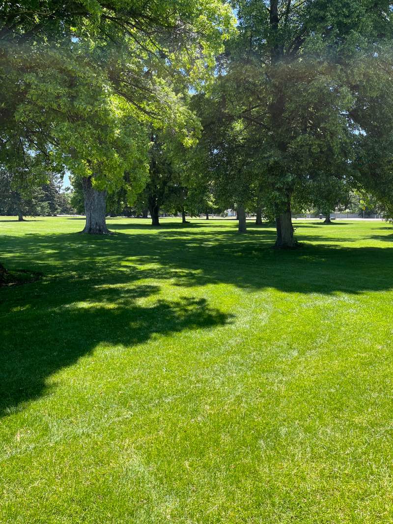 walking near me in Tautphaus Park in summer