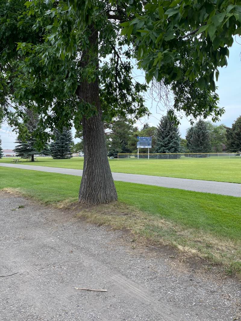 walking near me in Rollandet Park in summer