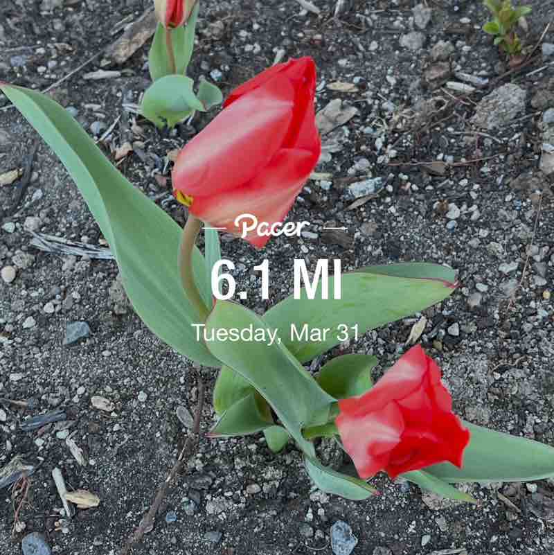 PacerGal57🌷🌱 post 2