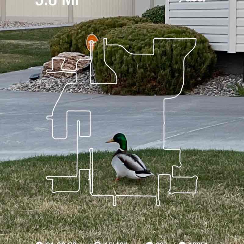 PacerGal57🌷🌱 post 1