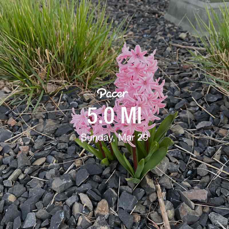 PacerGal57🌷🌱 post 1