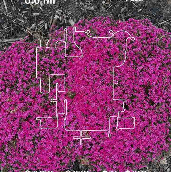 PacerGal57🌷🌱 post 1