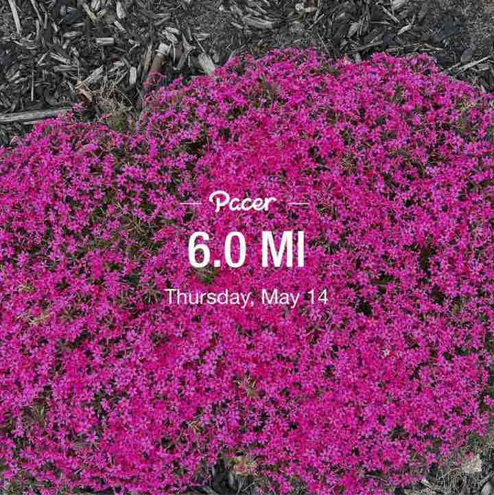 PacerGal57🌷🌱 post 3