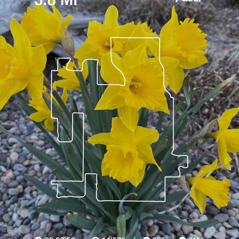 PacerGal57🌷🌱 post 1