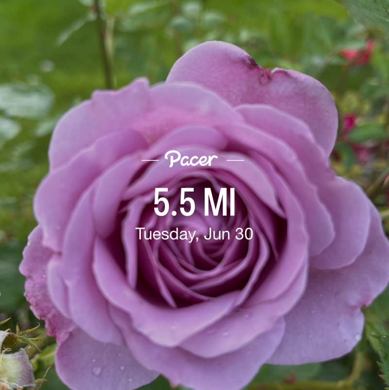 PacerGal57🌷🌱 post 1