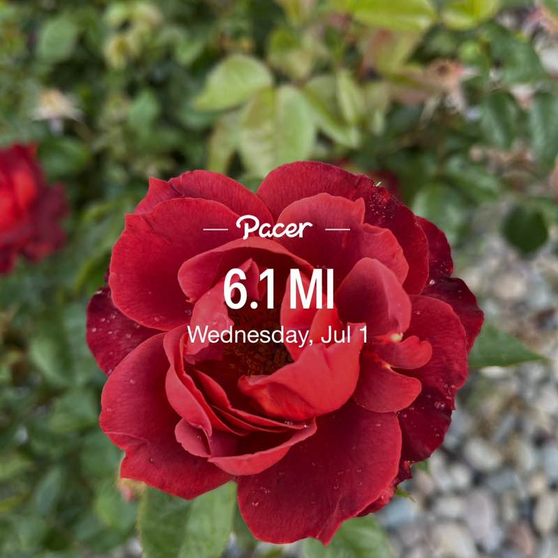 PacerGal57🌷🌱 post 1