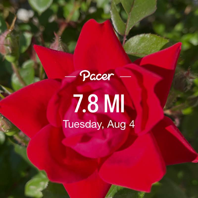 PacerGal57🌷🌱 post 1