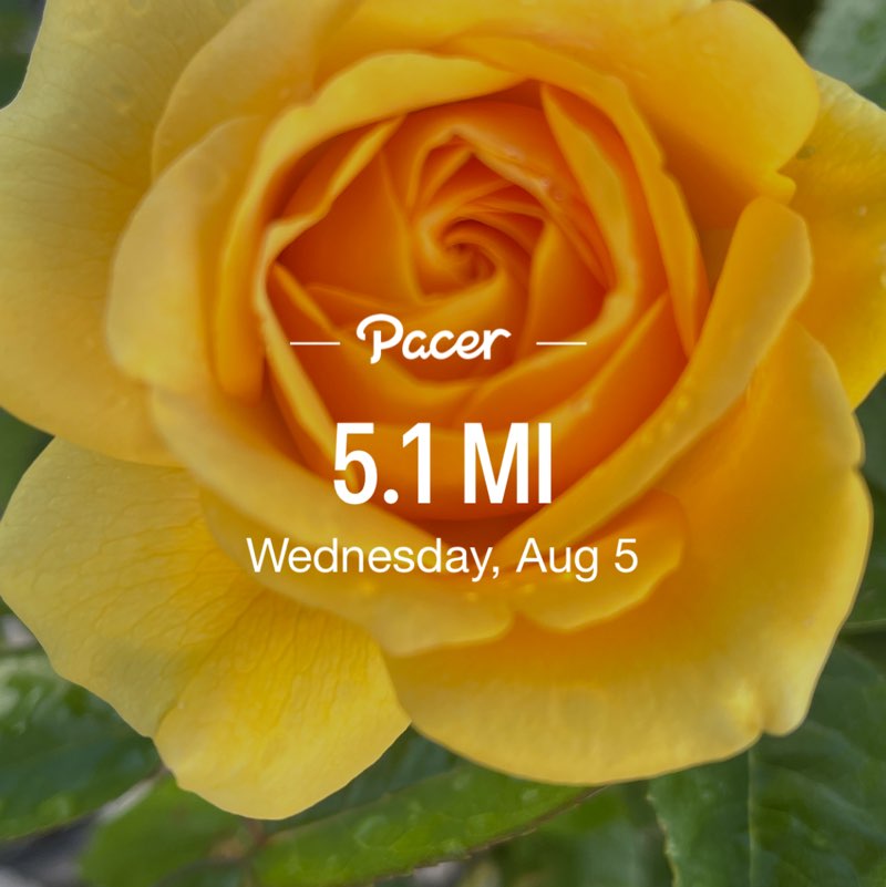 PacerGal57🌷🌱 post 1