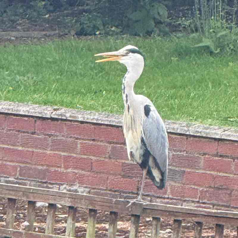 John 🏴󠁧󠁢󠁥󠁮󠁧󠁿 post 1