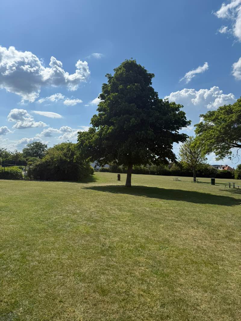 walking near me in Park Lane Recreation Ground in spring