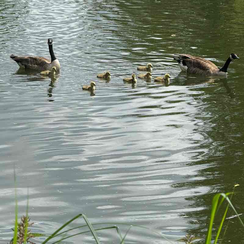 John 🏴󠁧󠁢󠁥󠁮󠁧󠁿 post 1