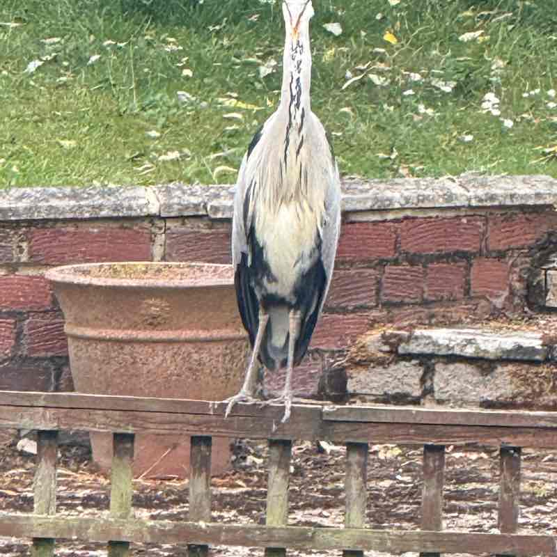 John 🏴󠁧󠁢󠁥󠁮󠁧󠁿 post 3