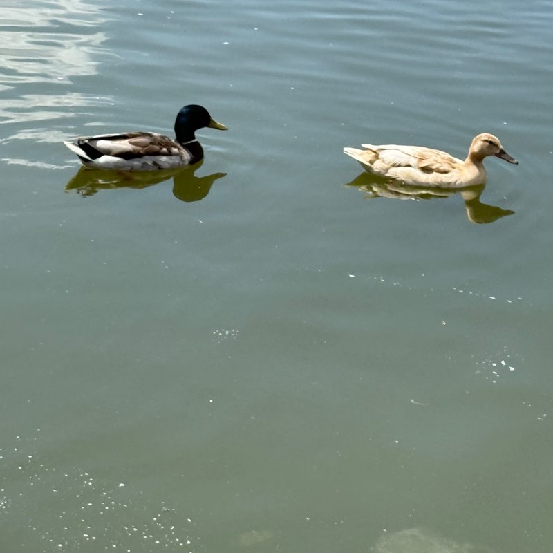 John 🏴󠁧󠁢󠁥󠁮󠁧󠁿 post 2