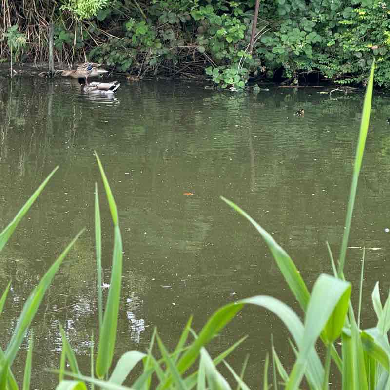 John 🏴󠁧󠁢󠁥󠁮󠁧󠁿 post 3