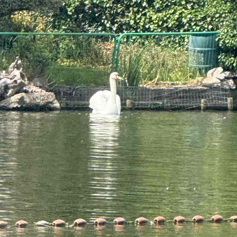 John 🏴󠁧󠁢󠁥󠁮󠁧󠁿 post 1