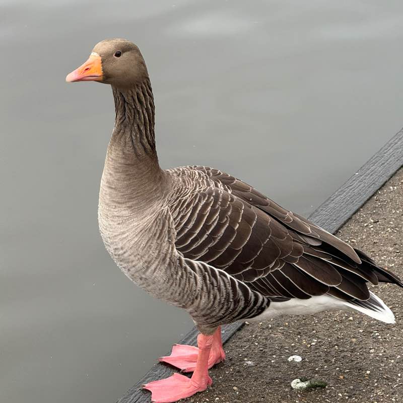 John 🏴󠁧󠁢󠁥󠁮󠁧󠁿 post 1